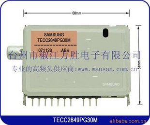 ӸƵͷTECC2849PG30M