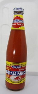 ̩ڵPANICH