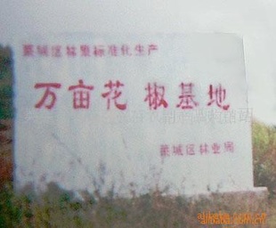 ڼڻ.ۻ