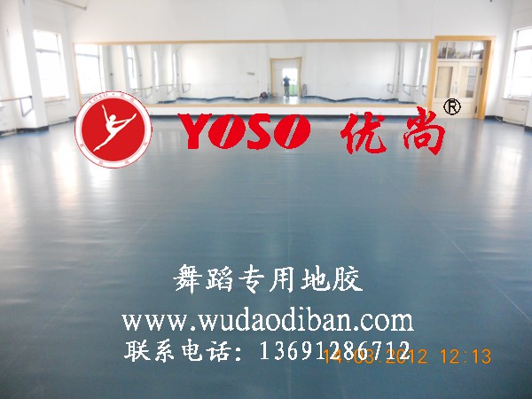 舞蹈地胶垫,舞蹈地垫,舞蹈地垫么材的