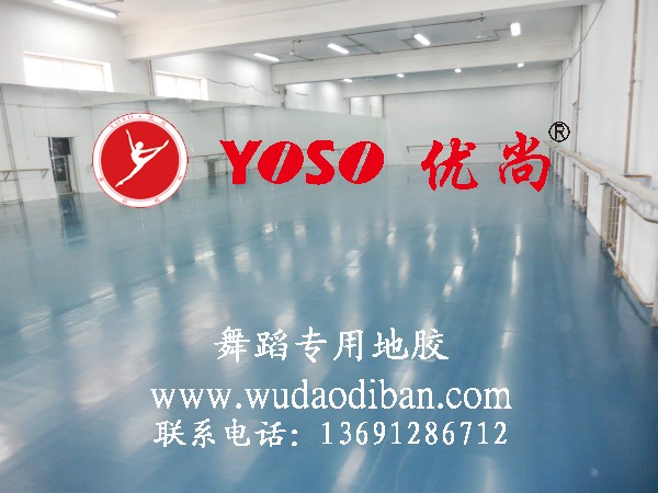 舞蹈教室地垫,跳舞用的地垫,舞蹈地垫价格