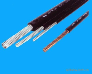 JKLYJ-0.6/1KV1×95ܿյ