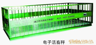 厂家直销靖江市方园电子衡器厂电子活蓄秤