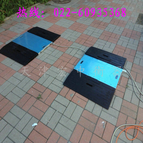 新疆伊犁30吨便携式(交*路政)