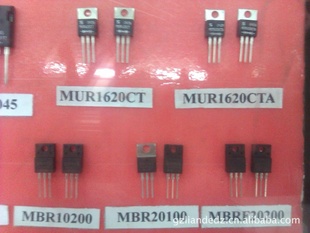 ڿָԹMURF1660CTMURF1660CTA