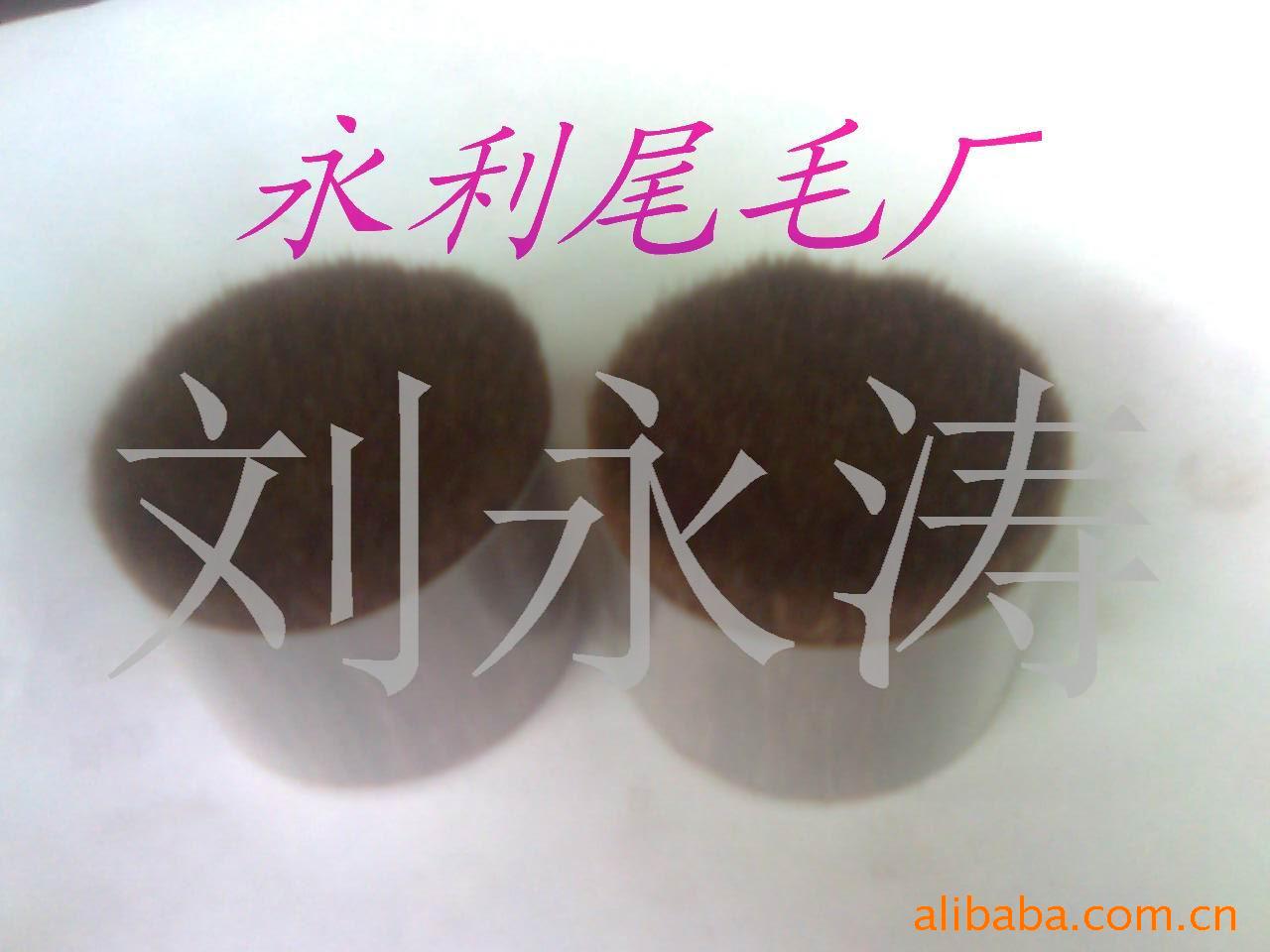 ױˢëëë(ͼ)
