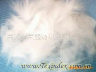 ëɽӷ֯Ʒ