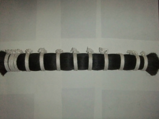 β