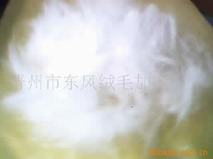 ȫë