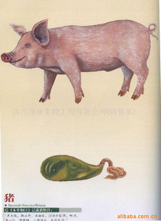֭ȡ(ͼ)