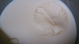 ڶʳ