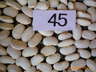 زƶ45ŷޱ׼