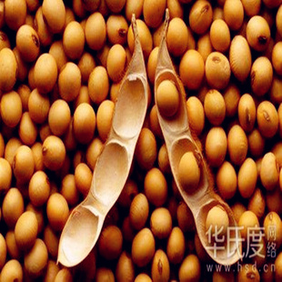 ڴϳ˼۸Żݳ껶ӭ