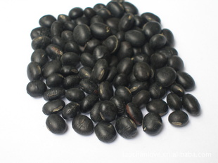 лʺڶ