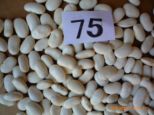ز׶75ŷ