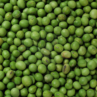 ʳඹʳඹؼඹ