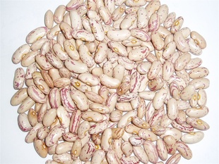 ̻ܿ2012̻ܿ