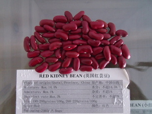 DARKREDKIDNEYBEAN(Ӣܿ)ڶ̼쵽