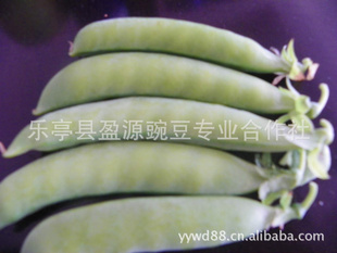 2012㶹֣ţ