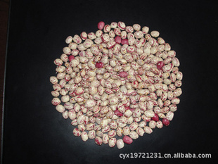 ֱ̩ڼ½Բ̻ܿ165-175P/100