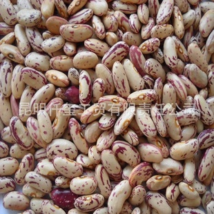 ̻ܿͣ-------2011ϲ
