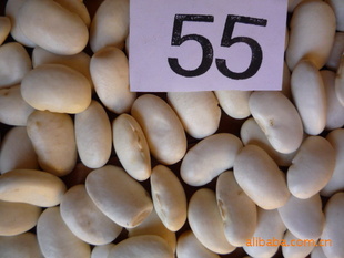 زƶ55ŷޱ׼