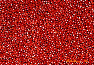 ѡ200-230/100gѡܿ