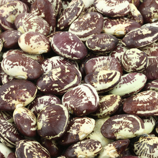 ״Ԫɰ450g»ũ
