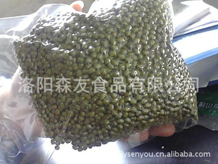 绿豆养生绿豆原生态绿豆豫西土特产