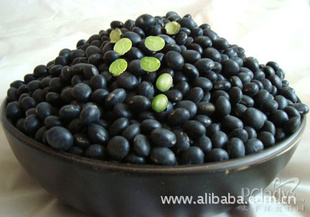 سֹںڶӭѯǢ̸