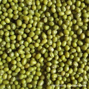 绿豆,大粒3.6mm以上绿豆,发芽用绿豆,豆芽级绿豆,发芽绿豆