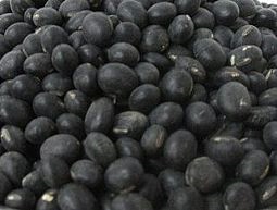 ʺڶڶ