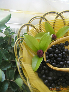 ڷڶ2.5KG