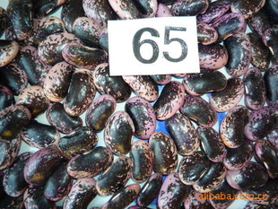 زƷڻƶ65ŷޱ׼