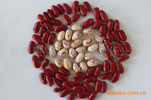 Ӣܿ180-220P/100g