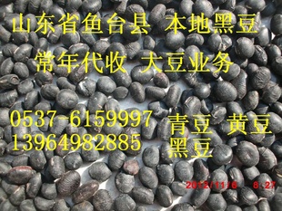 ڶڶشڶ۸飬ڶ