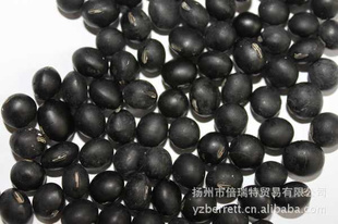 ڼѡ7mmʺڴڶڶ