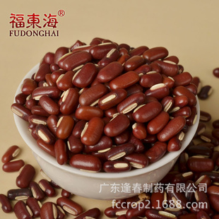 ڳСũԲǺ춹hongdou500gװ