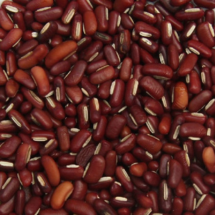 ũƷлС춹Сඹ500GزƷ