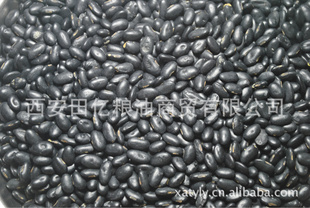 ±ڶ