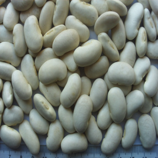 2013ϲܿ80-85ÿ100˳