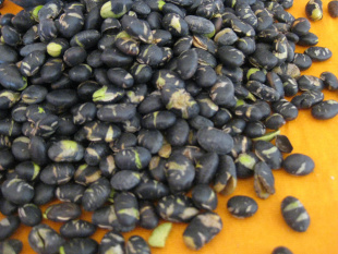 ɳڶ500gִ೧ֱ