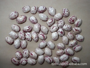½̻ܿ½Բ̻ܿ