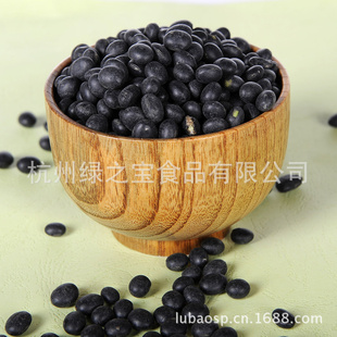 400gڶƶհװ