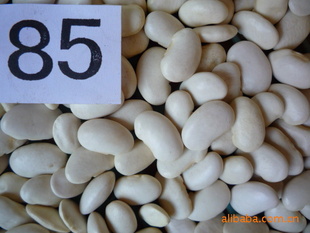 زƶ85ŷޱ׼