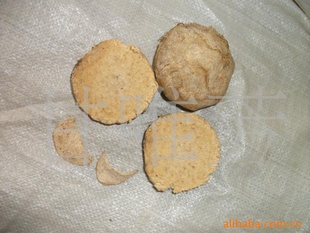 ԸӪ