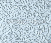 ѹ