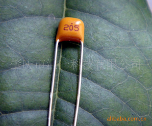 ʯ205