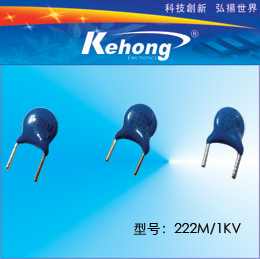 ʯ222M/1KV