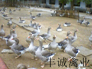 ˶󣬱Ĺʵ¶磨깫78ǧˣ